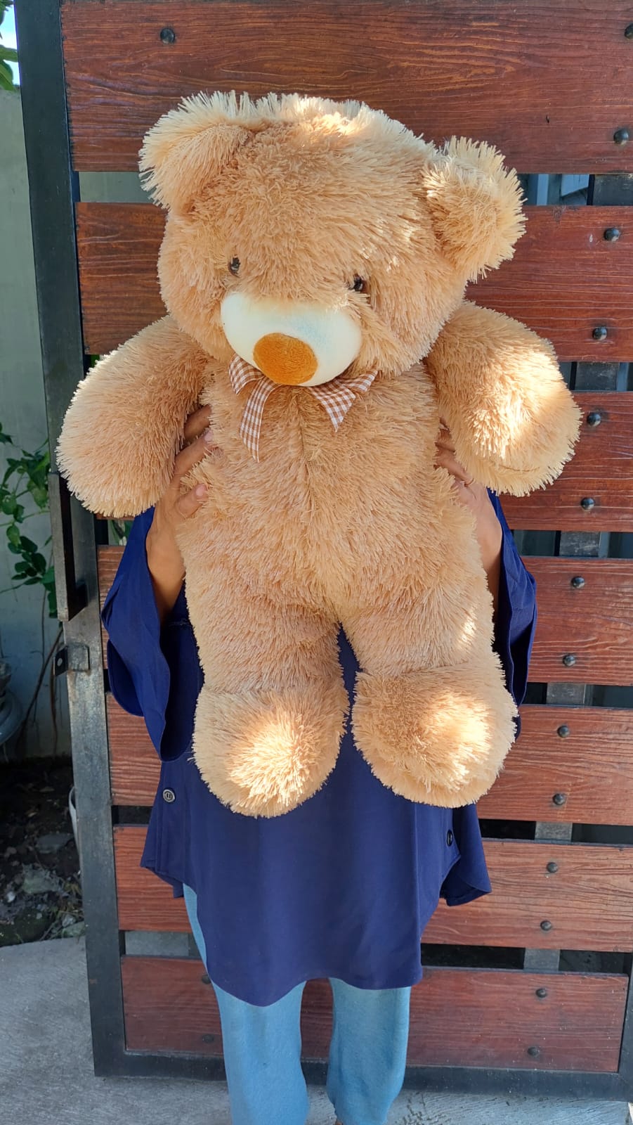 Boneka Teddy Besar